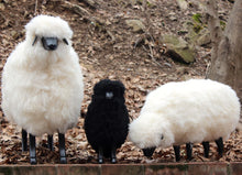 Life-Size Small Lamb Sheep - Black Varnish