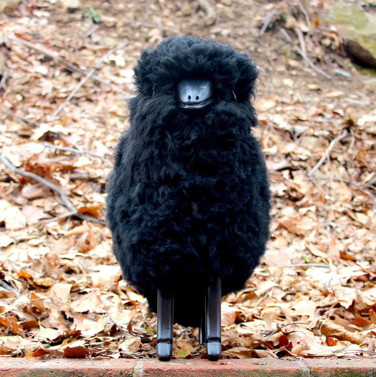 IMG_0532_copy_25c67c81-78d2-