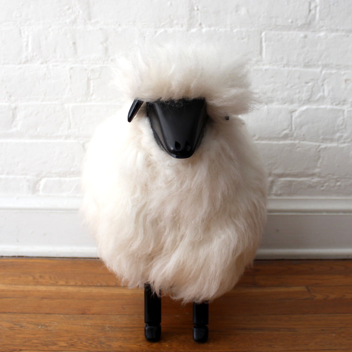 Life-Size Small Lamb Sheep - Black Varnish – Lost Candor