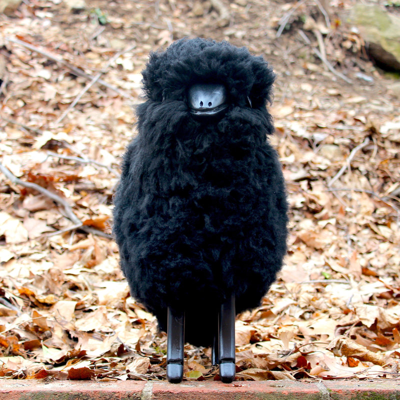 DimMoire Beloved sheep ロンT BLACK DimMoire Beloved sheep ロンT BLACK DimMoire Beloved sheep ロンT